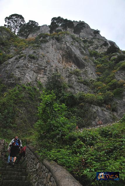la scala per anacapri.JPG